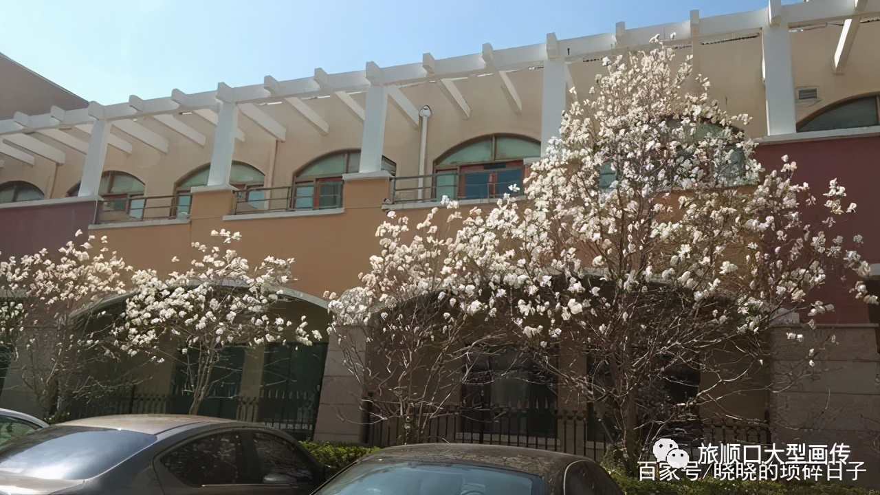 春渐暖，花已开，让我带你去看海——旅顺月亮湾