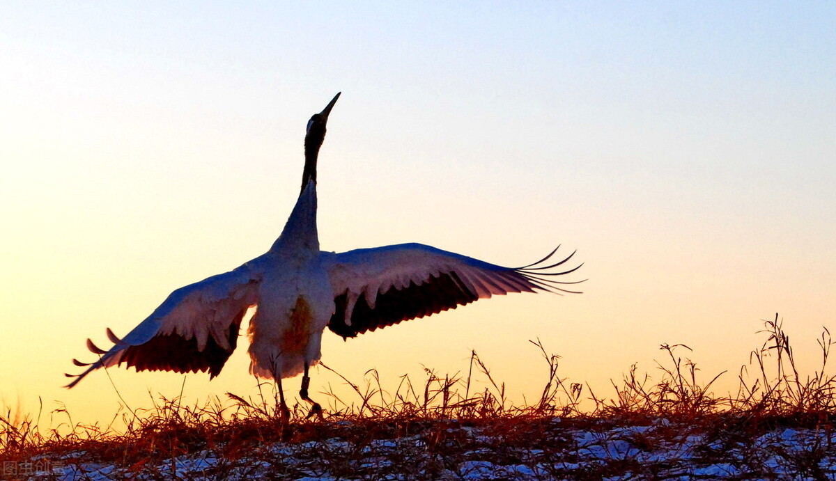 2021年高考英语书面表达必备（3）道歉信