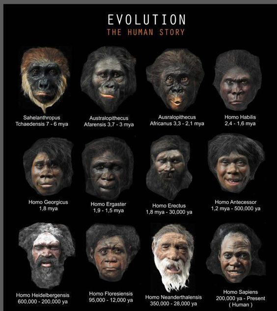 阴毛,腋毛和头发,人类在进化中为何保留了这几个部位的毛发?