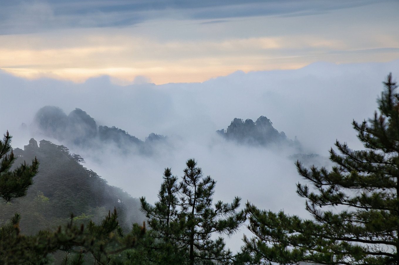 妙想黄山 奇思回潮|云海·云雾缭绕