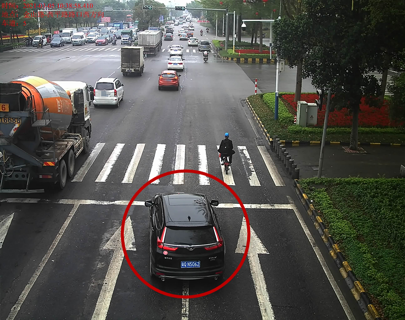 交通违法曝光！