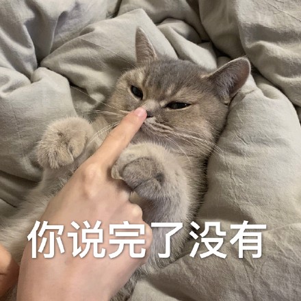 猫咪威胁表情包｜你说完了没有