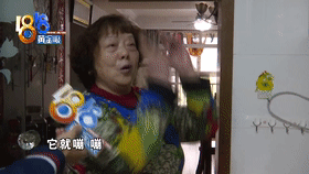 菜还没热好燃气灶炸了，此“樱花”非彼“樱花”？