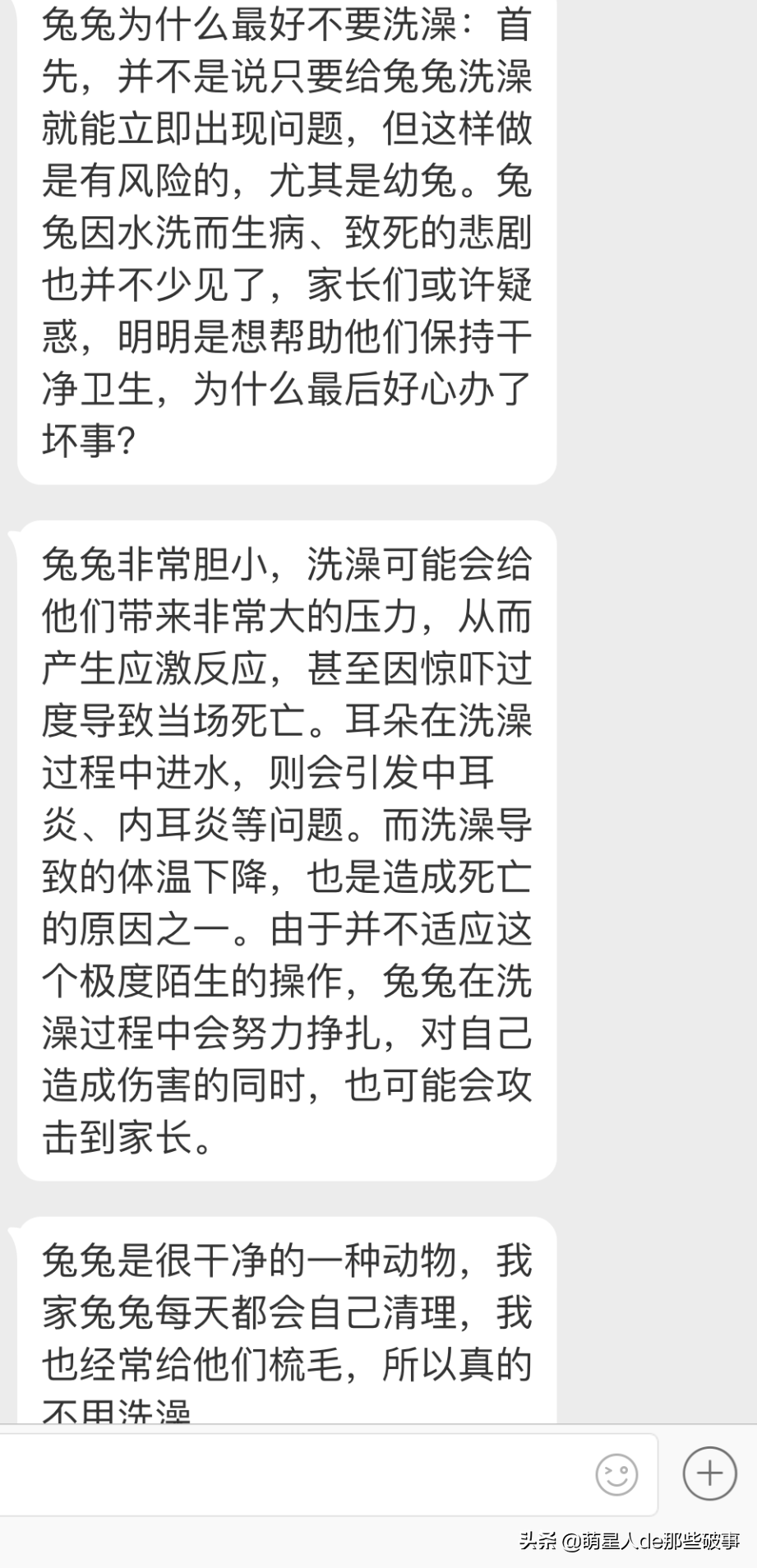 兔子能洗澡吗太臭了（分享新手的正确养兔指南）