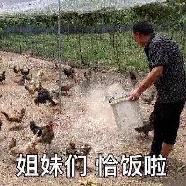 表情包：我难道不是你宝儿吗？