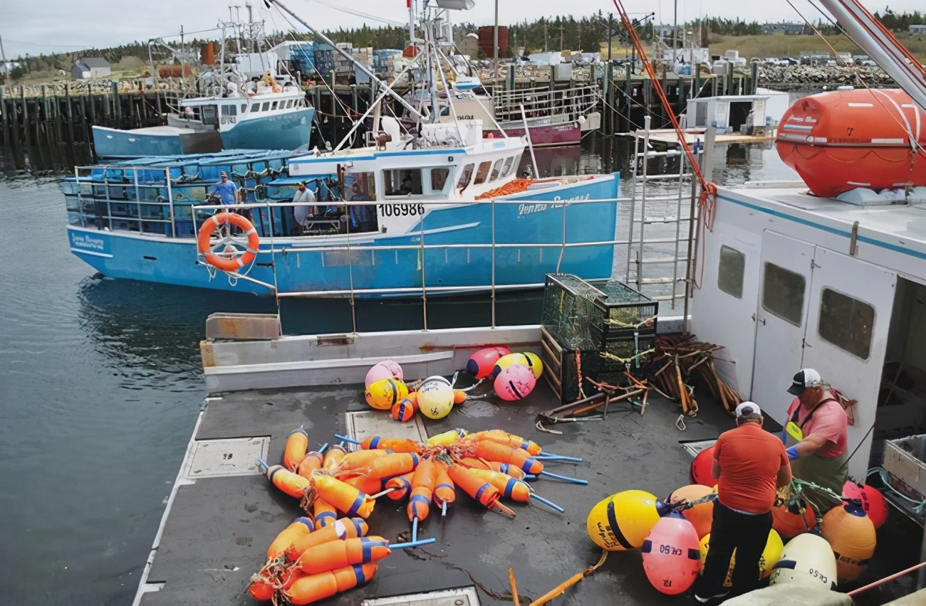 加拿大四百年龙虾捕捞进步史:从手持鱼叉到大型渔船_外国渔业_西南