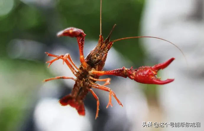 心如荷花天地宽，人生一笑岁月长；医海无涯必励钻，博采勤收受益