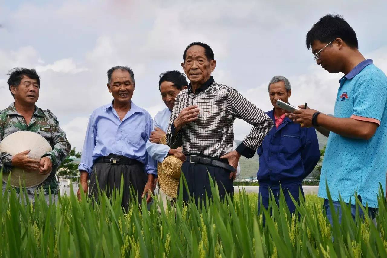 2021高考作文素材：袁隆平留给“后世青年”的五笔巨大精神财富