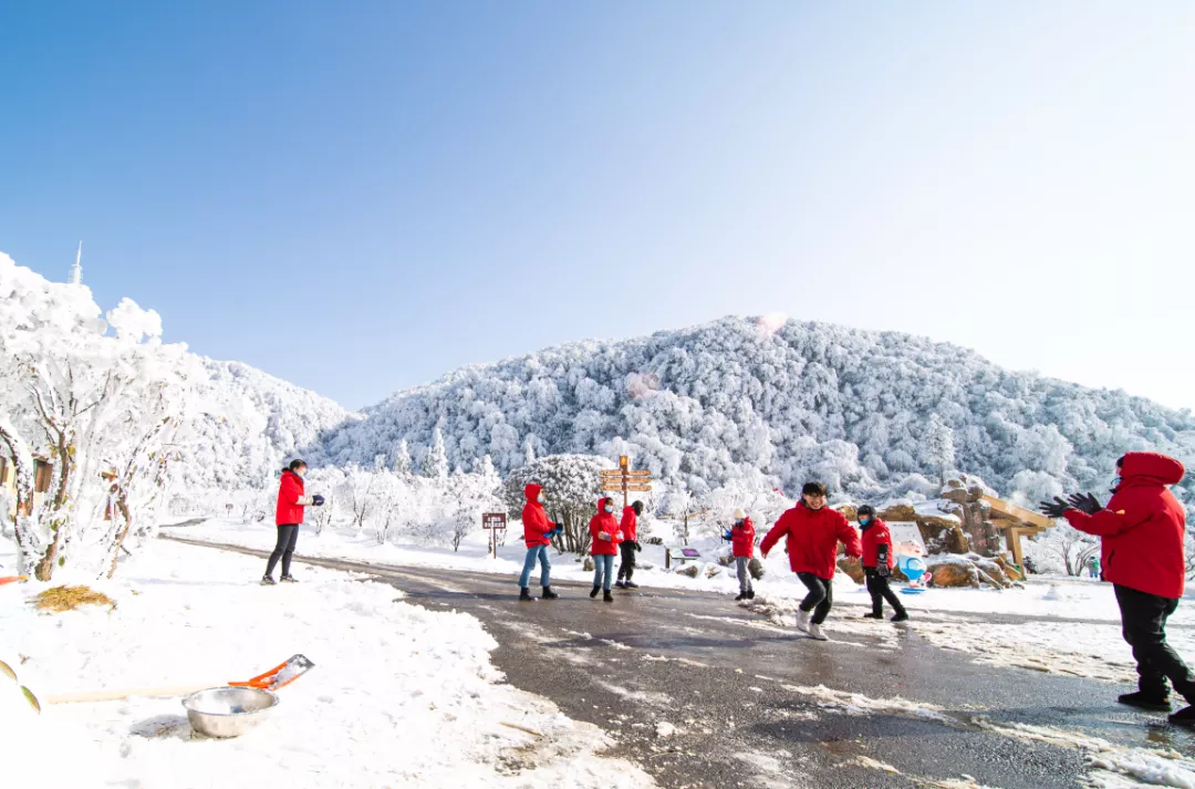 冬雪落下的刹那，金佛山美成了童话！