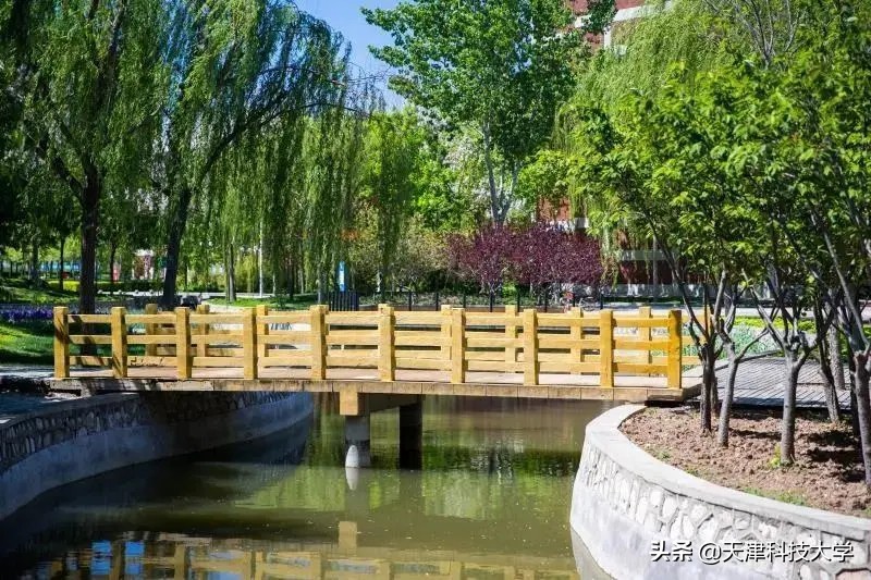 天津科技大学2020年普通本科招生章程