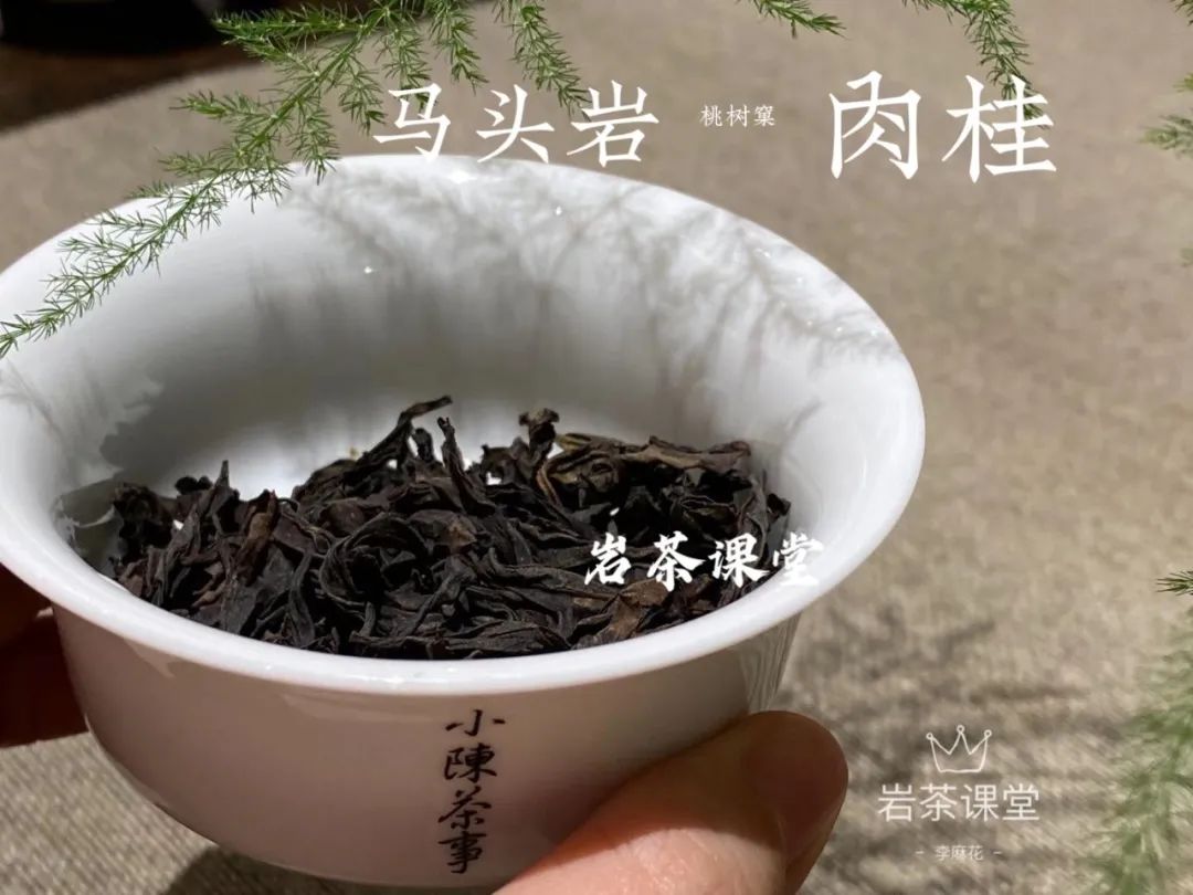 牛栏坑肉桂一斤1500，马肉半斤398，武夷岩茶都这么便宜？