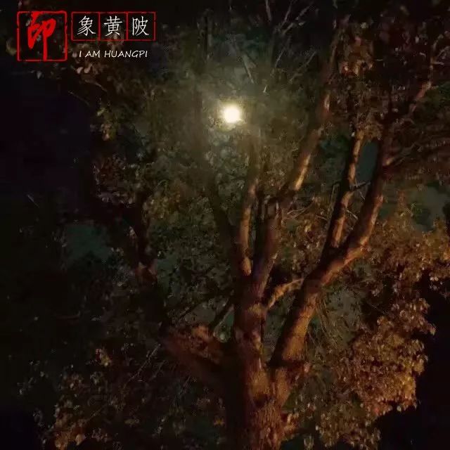 今夜月明人尽望，不知秋思落谁家