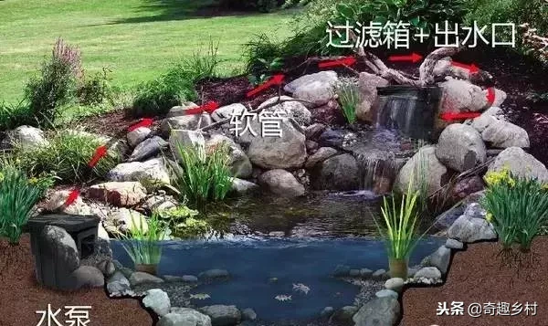 院子里应该有个小池塘，没有就自己动手挖个！（附实际操作图）