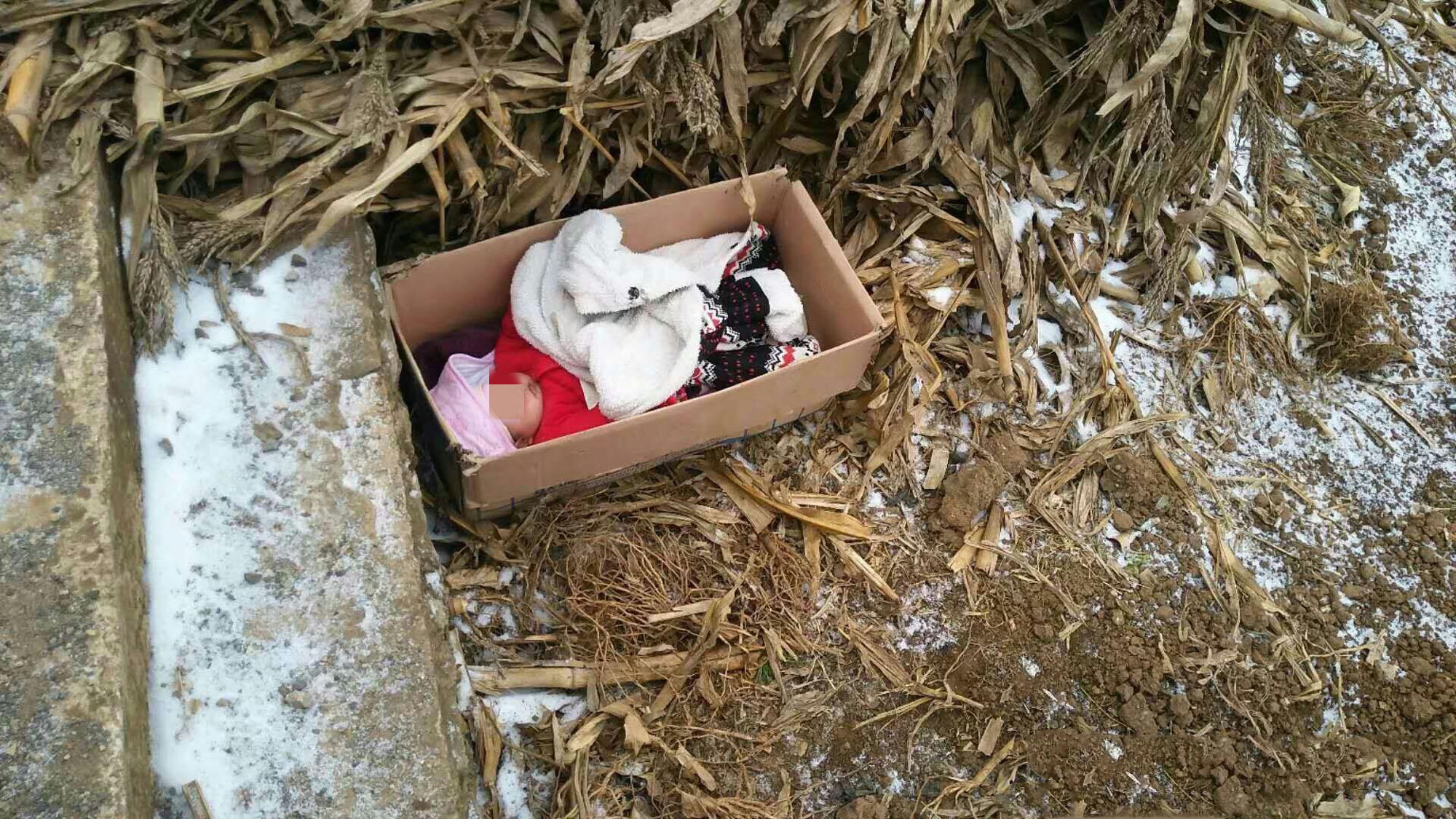 为什么“大学生子”屡屡出现？