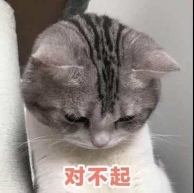 猫咪表情包：关下灯，谢谢