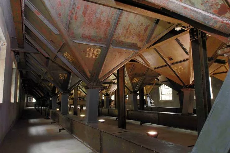 为给老板庆生，全体员工自愿周日不休息