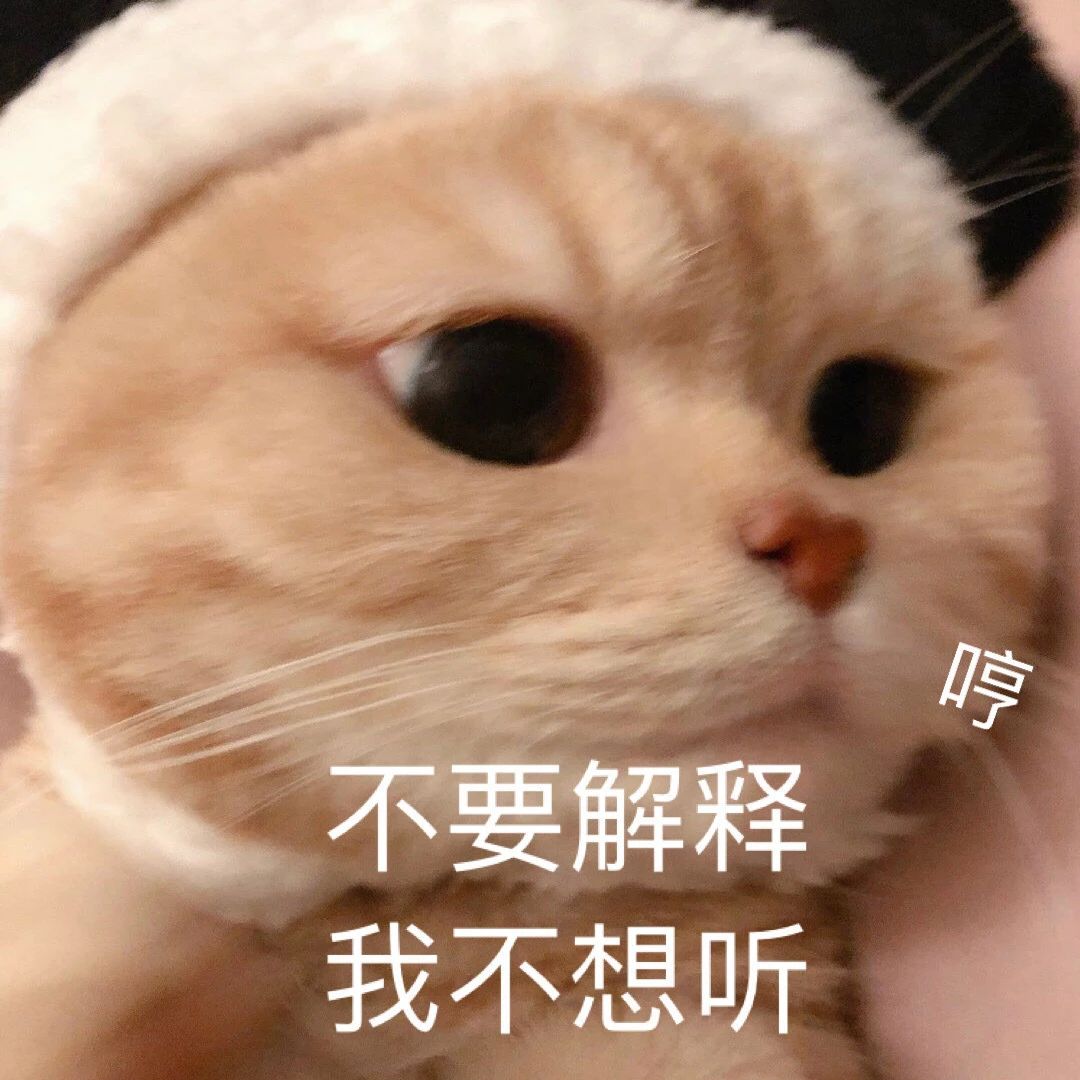 猫咪表情包​  生气专用表情包