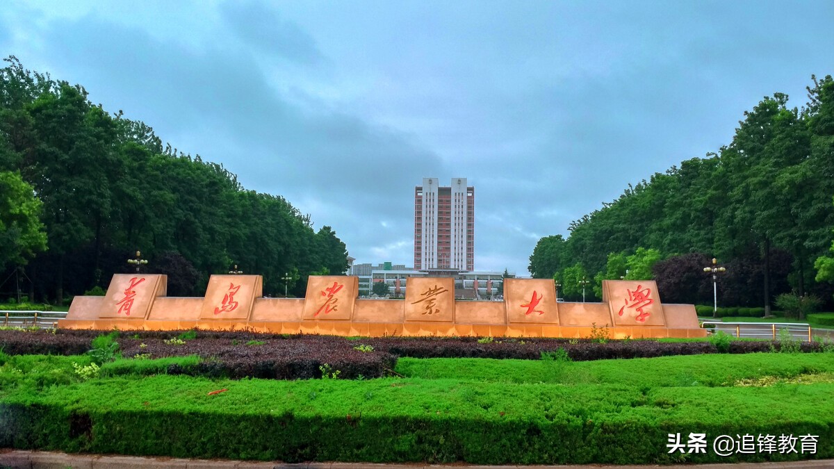 青岛农业大学排名（青岛农业大学简介）