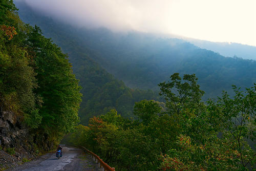 神农架深处为什么进不去?野人一直都存在争议