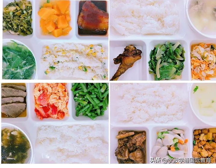 2019宁波民校汇总 | 走进宁波上海世界外国语学校（文末有福利）