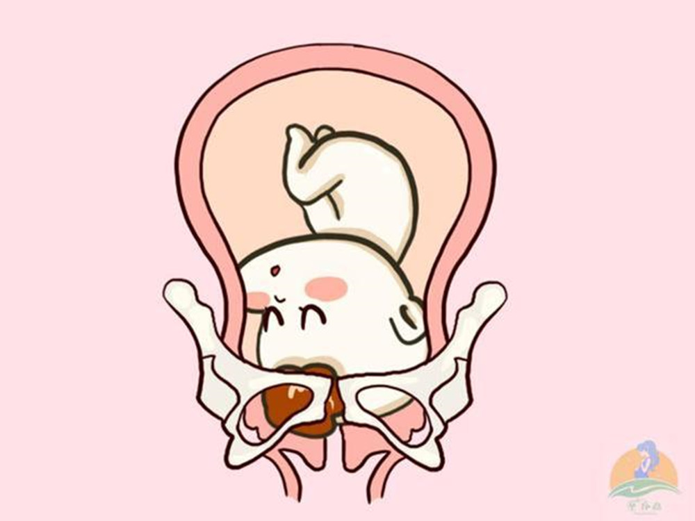 遇上胎位不正的情况，这些纠正方法，孕妈们可以了解一下