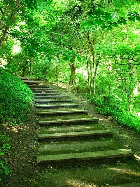 5句带“路”字的诗句(三十功名尘与土是哪首诗)（路的诗文）"