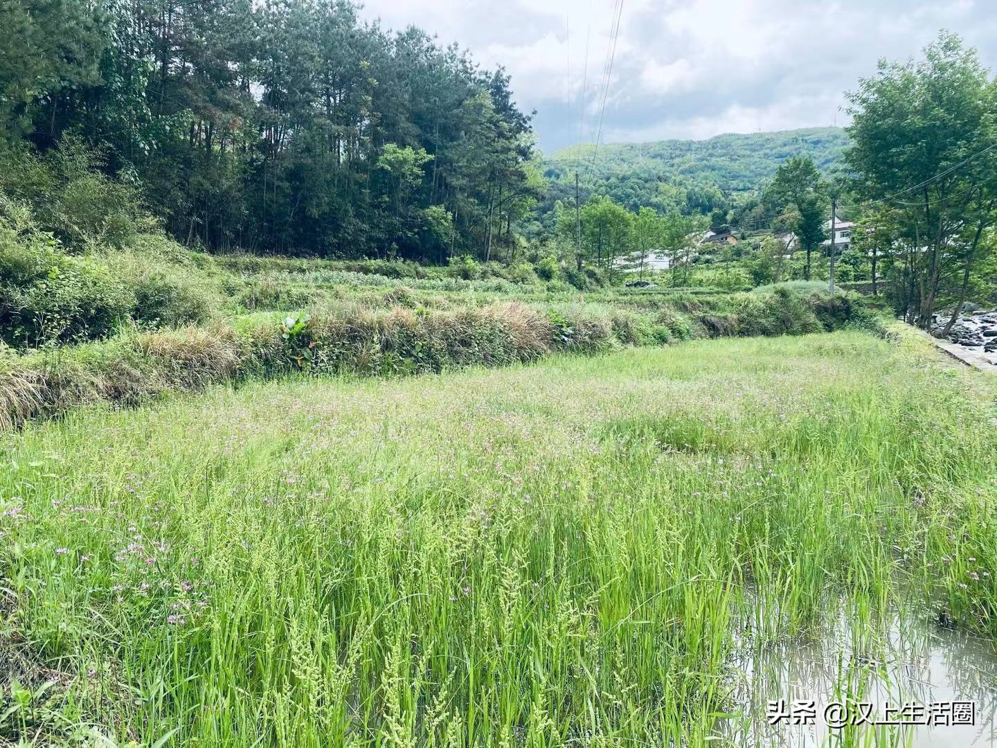 我骑在车上看风景，路边的人在看我，我挥一挥手，不带走一丝云彩