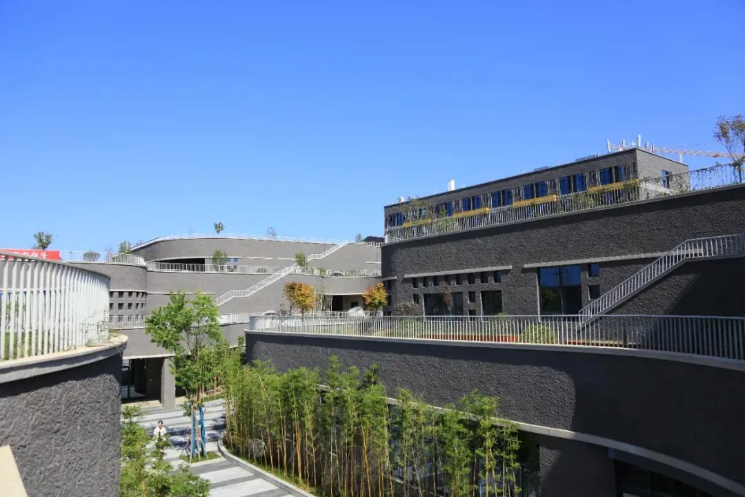 这2所美术学院在2021年相继启用新校区，招生人数将会大幅度提升