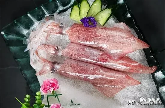 市场常见的102种海鲜，肉质鲜美，营养丰富，你们吃过几种？