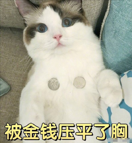 女孩哭穷表情包:别人都是用香奈儿包LV包宝格丽包,而我用表情包
