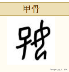 甲骨文部首详解：窈窕淑「女」，良母贤妻
