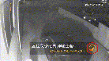 监控拍到小精灵，难道我们真的生活在《光灵》中的世界