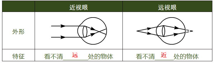 初中物理，透镜考点汇总