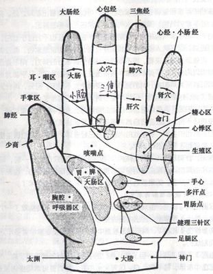 第十二章：易经之天干地支与六十花甲纪年