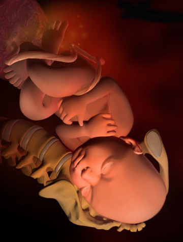 怀孕38-40周,胎儿能长几斤?4种表现胎儿发育好,出生后高人一筹