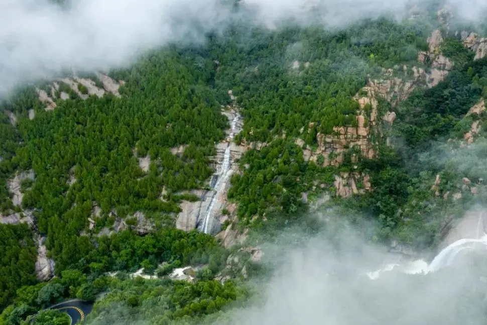 5块钱的泰山,为什么在现实中看不到?