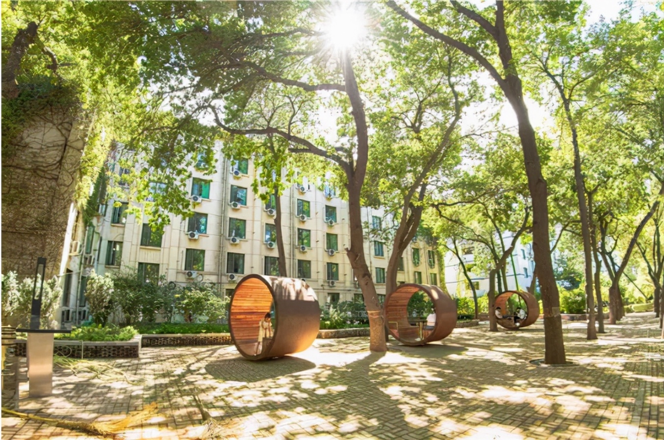 北京林业大学怎么样（揭秘）