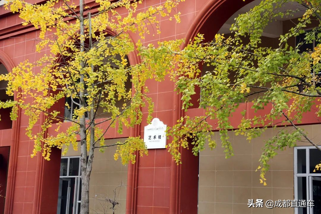 花开的季节·一起爱上文理