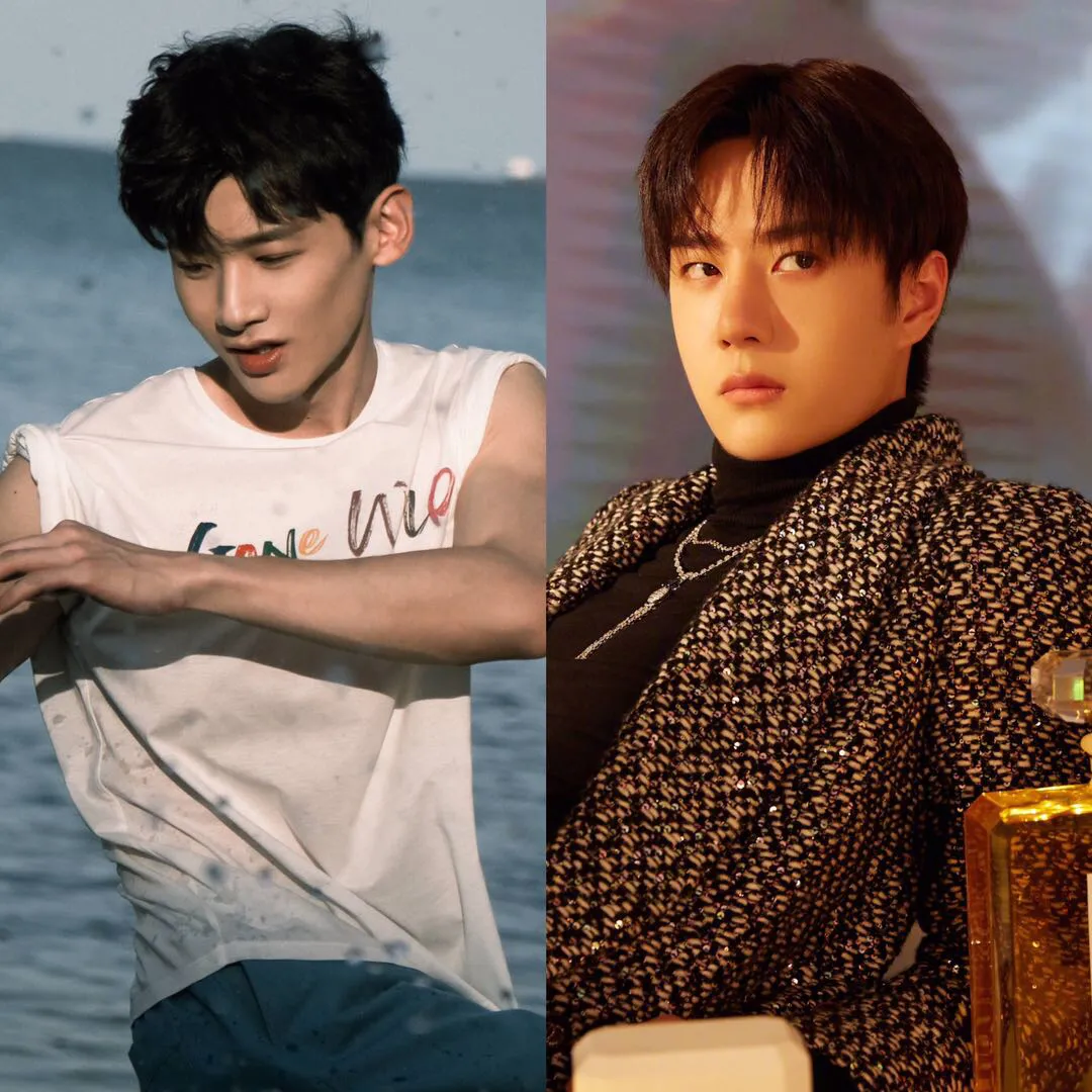 泰洋川禾泰洋川禾地址