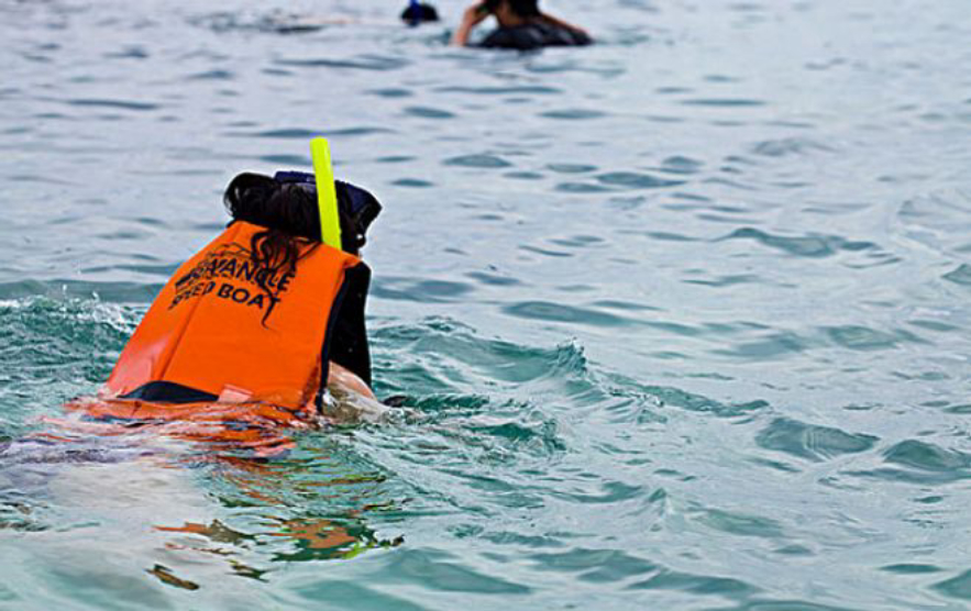 来自大海的哀曲：渤海二号石油钻井平台沉没，背后有何悲惨真相？