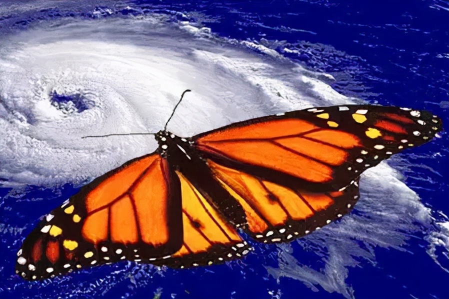 什么是蝴蝶效应，意义及启示详解？