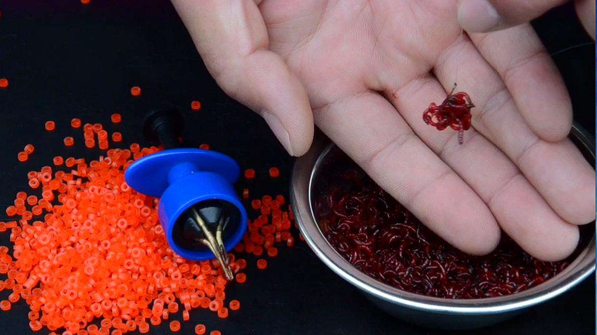 红虫颗粒怎么挂钩图解红虫这么小怎么挂钩