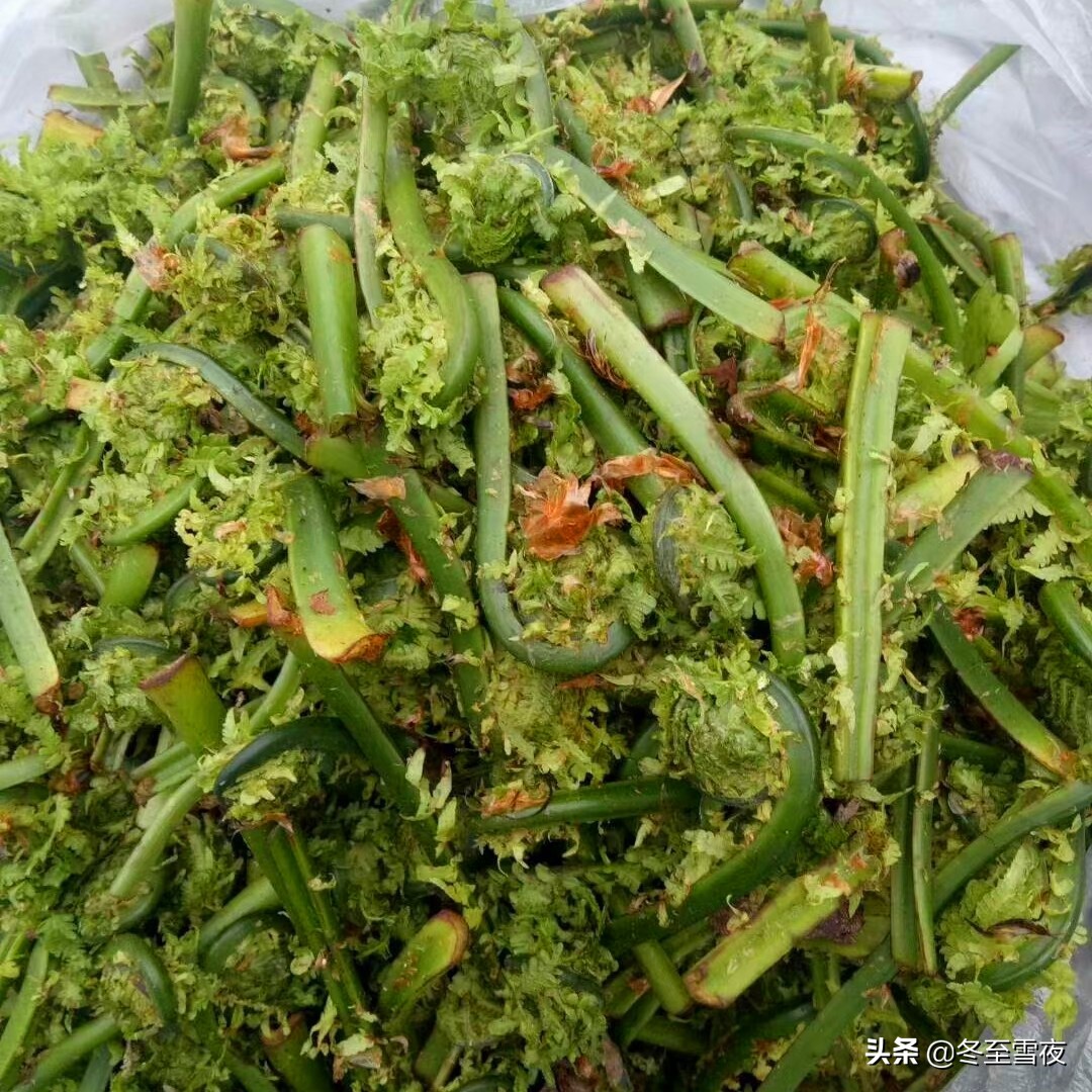 山野菜的做法,山野菜的做法大全