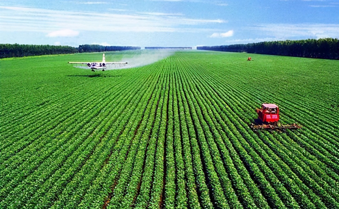 2021高考“一分一档”形式，600分竟排5万名后，学生：我太难了