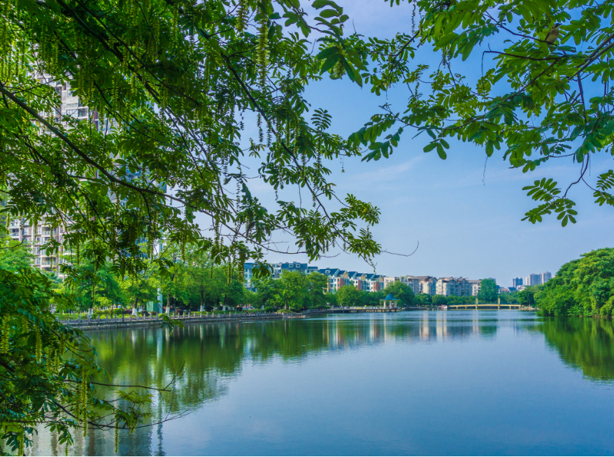 注意了！这8所独立院校升级为公办大学，2021年的考生可捡漏