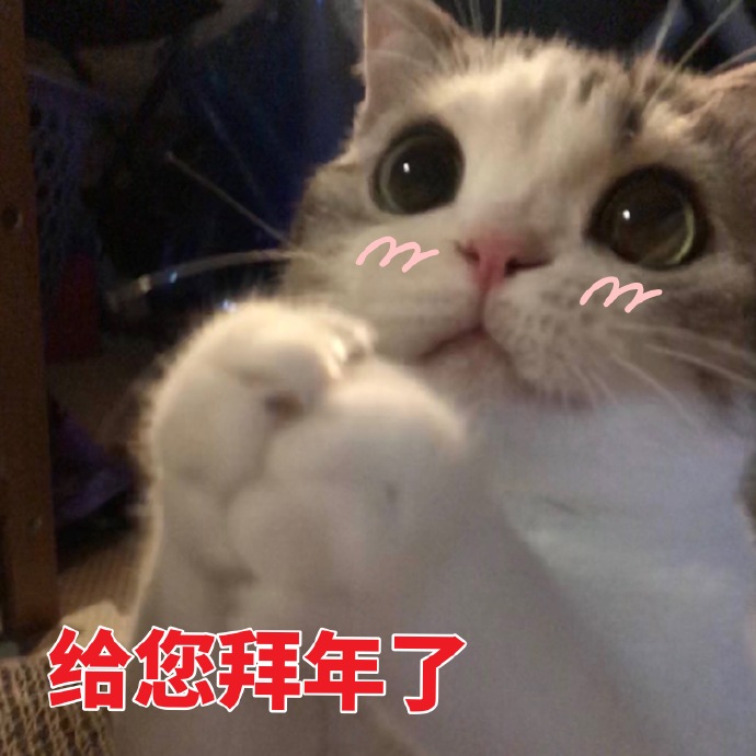 猫咪拜年表情包：恭喜发财，红包拿来