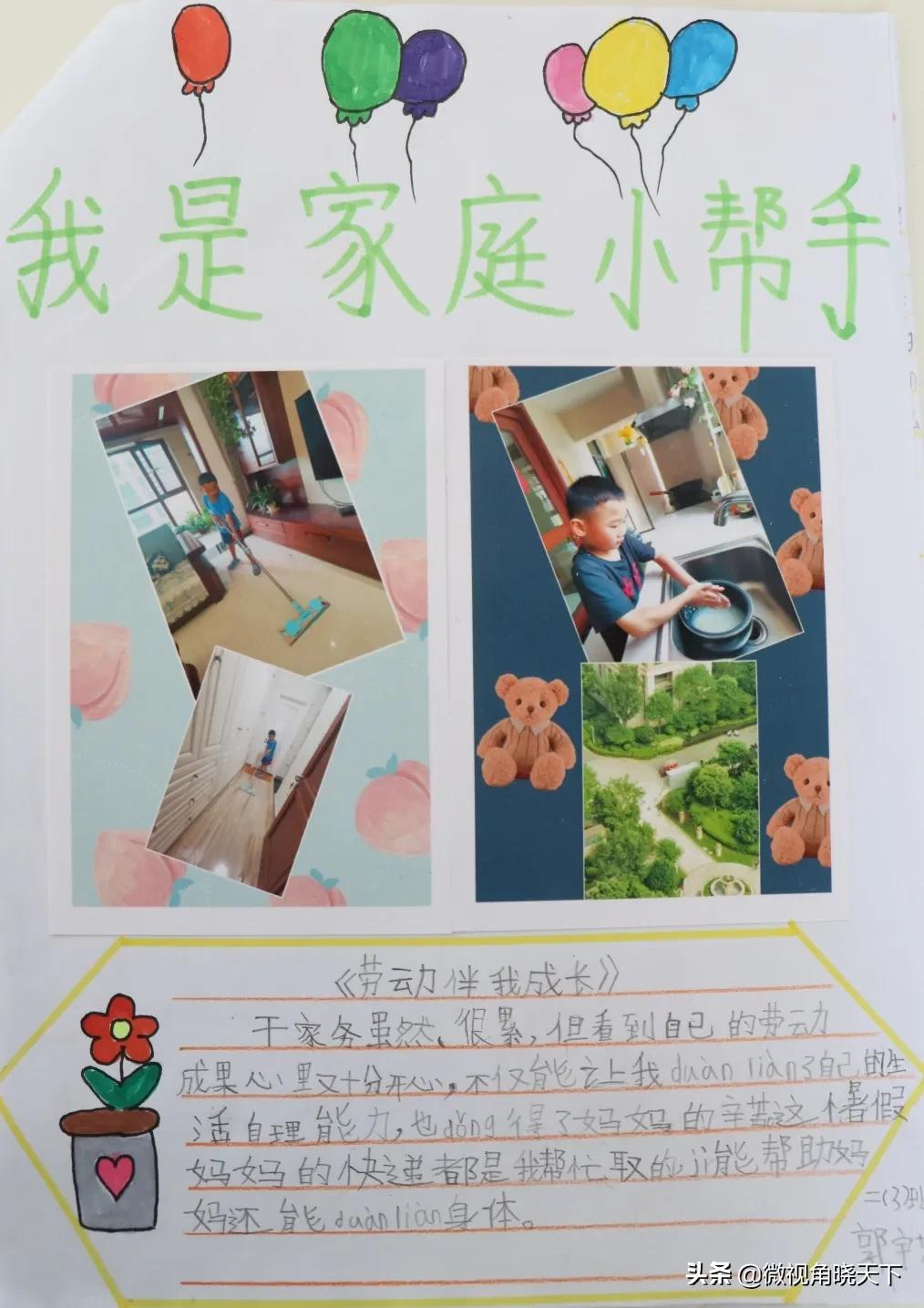 信阳羊山外国语小学东校区葵宝实践作业展(图23)