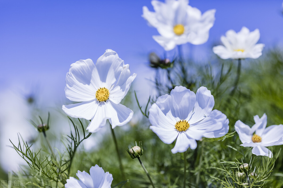 时光未央，静候流年，提笔万水千山，落纸红尘万卷