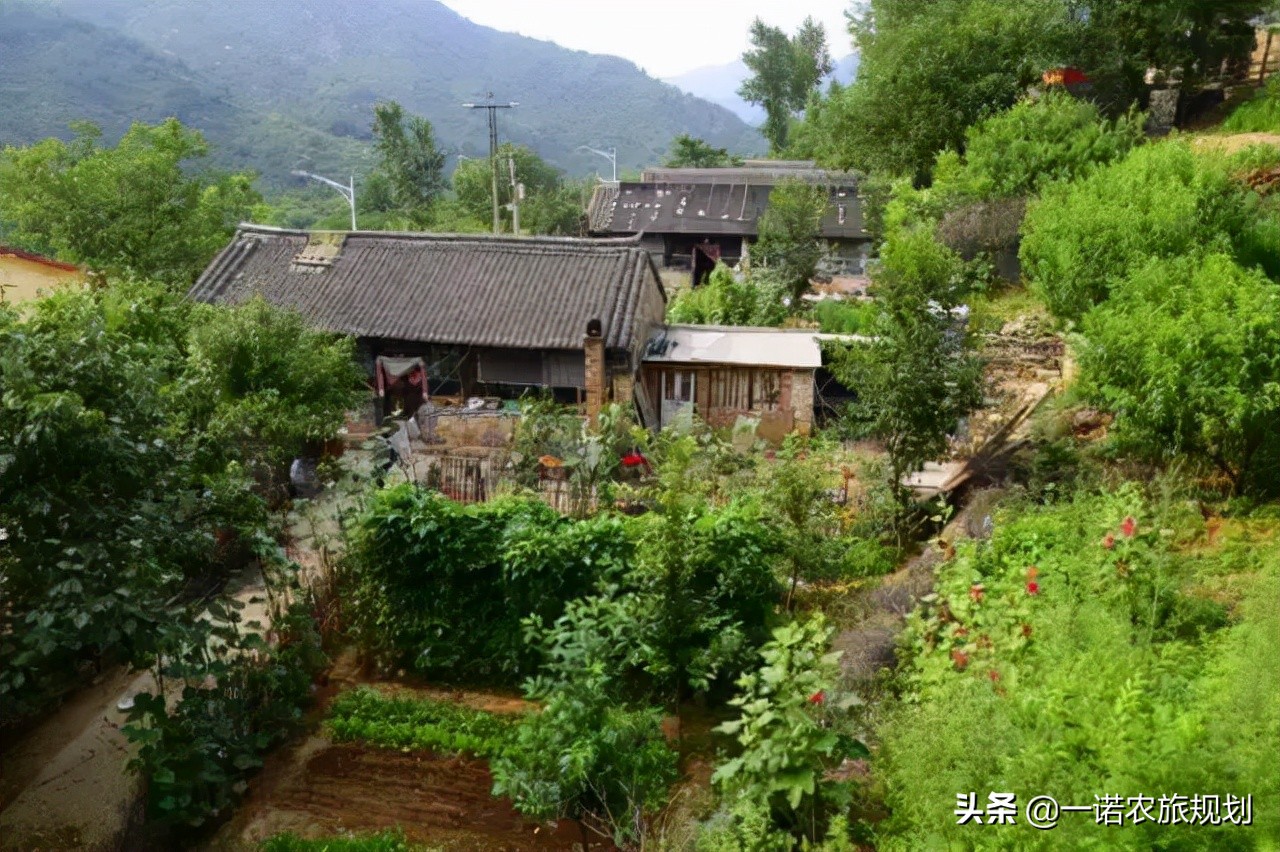 乡村振兴实例：从空心村到野奢度假综合体，是如何实现的？