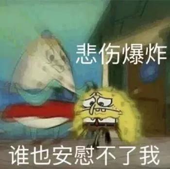 表情包：你忙吧，反正我又不重要